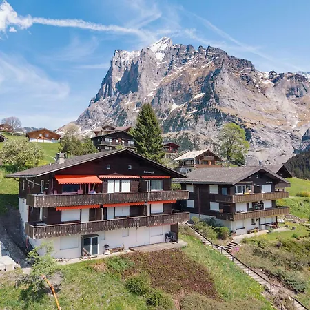 Mountain View In * Grindelwald