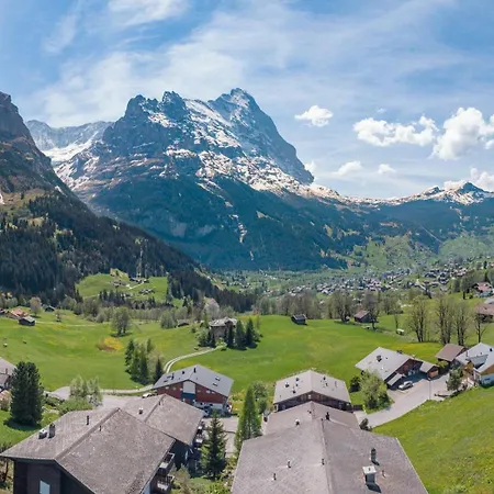 Mountain View In Grindelwald